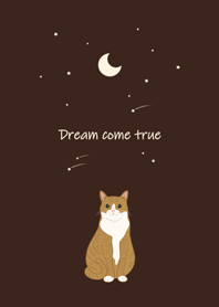 Moon meteor(Orange cat)