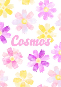 Autumn Cosmos