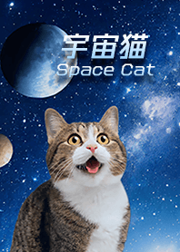 宇宙猫 Space Cat | 驚くねこ