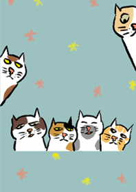 SOHAPPYCAT2