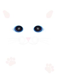 Pure white cat
