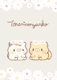 となりのにゃんこ　ぽて