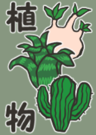 Cool house plants green , fix