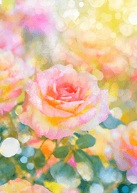 Beautiful rose flower(R1466)