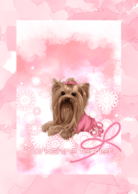 Yorkshire terrier-pink-