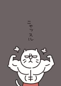 muscular cat