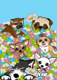 犬 イヌ いぬ 着せかえ