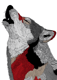 Strength and Fragility