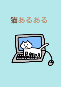 猫あるある