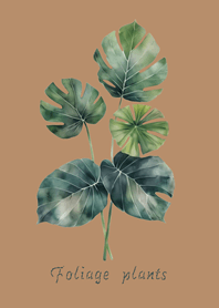 우아한 관엽 식물(밀크티 컬러)