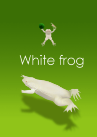 White frog ～幸運の白いカエル～