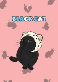 blackcat5 - coral