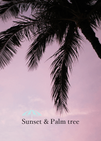 sunset and palm tree 32