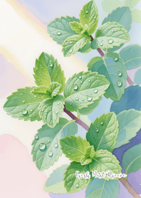 Fresh Mint Breeze