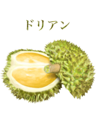 榴蓮　6