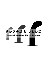 チンアナゴ & フレンズ