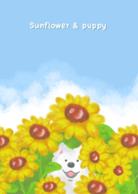 Sunflower & puppy