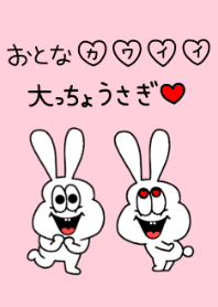 Adults cute Thick rabbit