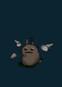 rabbit staring - around