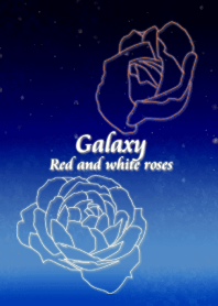 Galaxy Red and white roses