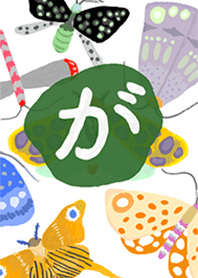 昆虫図鑑 蛾