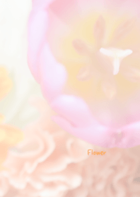 Flower Theme 48