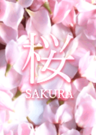 Cherry Blossoms Beautiful Flower Theme