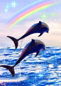 rainbow dolphins sea