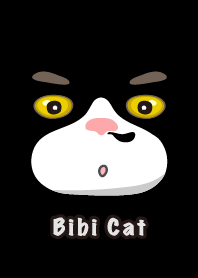 Bibi cat life