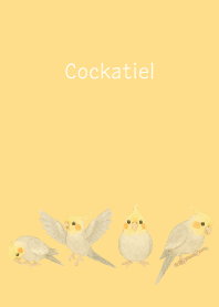 Cute Cockatiel2 brown & yellow