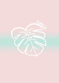 漸層好美-觀葉植物2