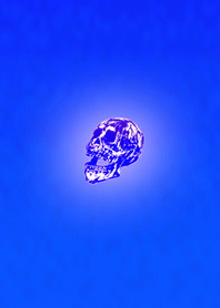 Skeleton Hawaii Purple