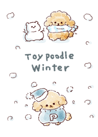 簡單的 玩具貴賓犬 冬天 白色 藍色