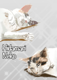 แมว Hidamari