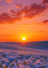 身につけるだけで運気上昇56。ネモフィラ