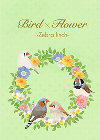 Bird x Flower -Zebra finches-