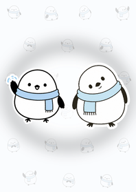 Snowy Shimaenaga