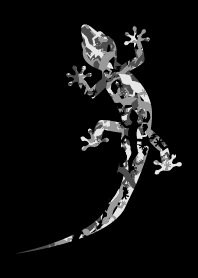 Urban Camouflage Gecko