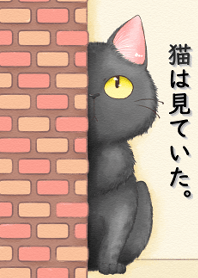 The cat was watching