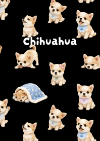 I love Chihuahuas01 black