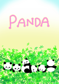 ♡ PANDA ♡