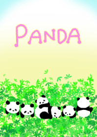 Love Love PANDA