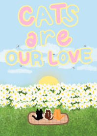 แมวเหมียวคือความรักของเรา