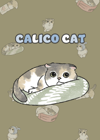 calicocat2 - olive