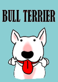 Bullterrier lover