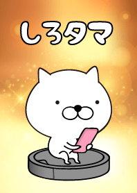 White Ball Cats2