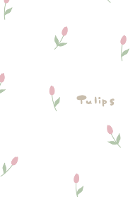 小さな　花　チューリップ　ホワイト
