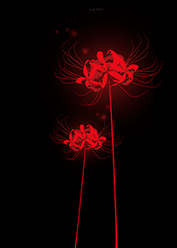 Lycoris red Background black_jp