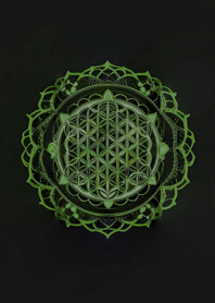 ดอกไม้แห่งชีวิต(ป่าสีเขียว)