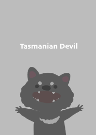 Little Tasmanian devil